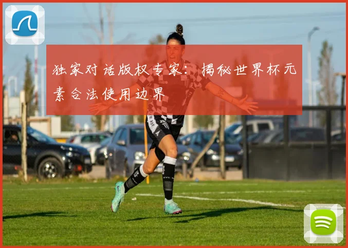 独家对话版权专家：揭秘世界杯元素合法使用边界