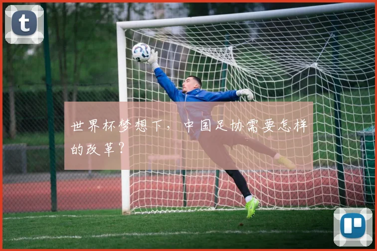 世界杯梦想下,中国足协需要怎样的改革?