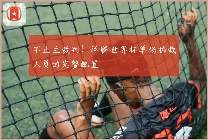 不止主裁判!详解世界杯单场执裁人员的完整配置