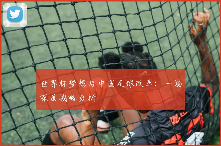 世界杯梦想与中国足球改革:一场深度战略分析