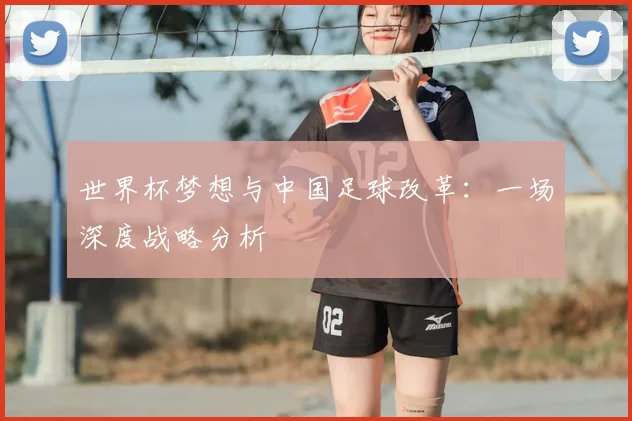 世界杯梦想与中国足球改革:一场深度战略分析