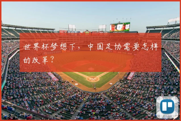 世界杯梦想下,中国足协需要怎样的改革?