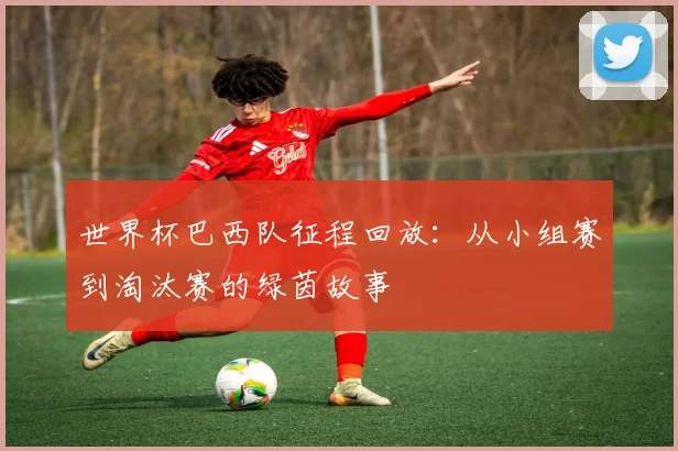 世界杯巴西队征程回放:从小组赛到淘汰赛的绿茵故事